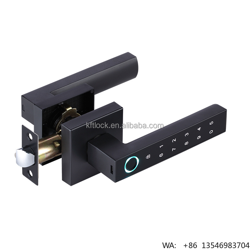 Digital Door Lock Fingerprint Handle - Serratura Digitale Elettrica con Password e