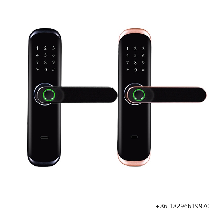 Digital Door Lock Fingerprint Handle - Maniglia per porta digitale biometrica con