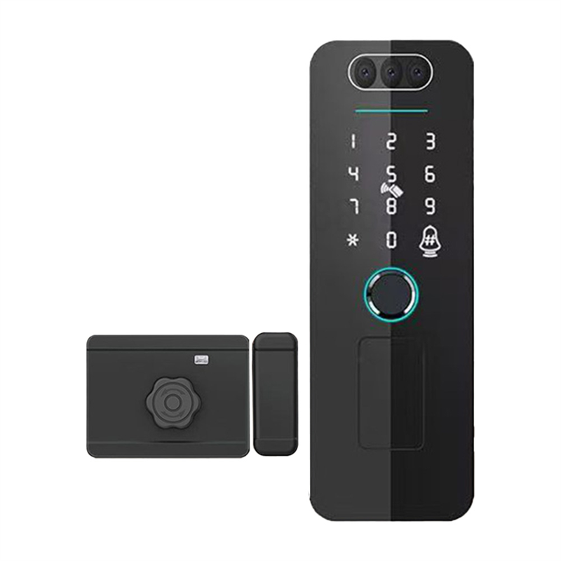 Face Recognition Door Lock - A92Z Tuya Impronta digitale RFID Card