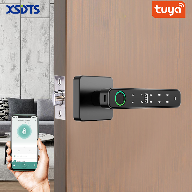 Digital Door Lock Fingerprint Handle - Serratura Digitale Intelligente XSDTS Tuya con