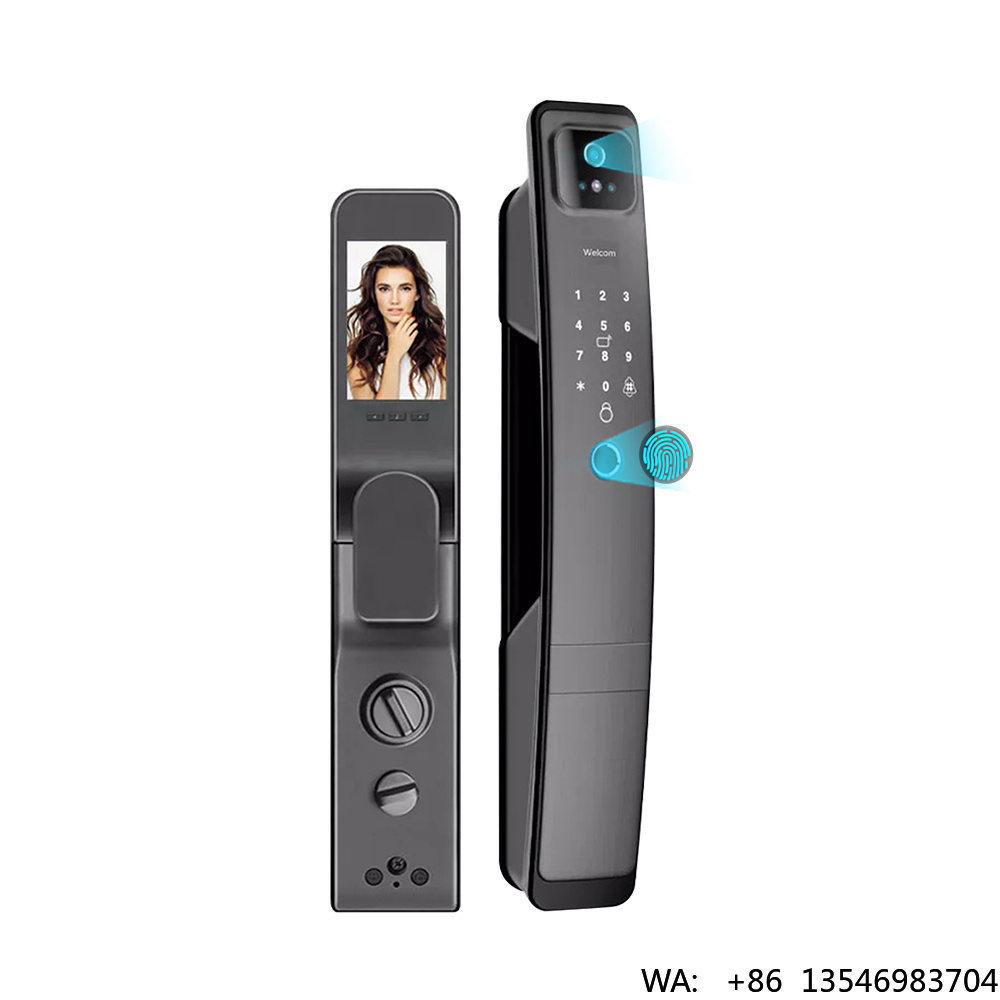 Digital Door Lock Fingerprint Handle - Serrature Intelligenti per Porte con Maniglia