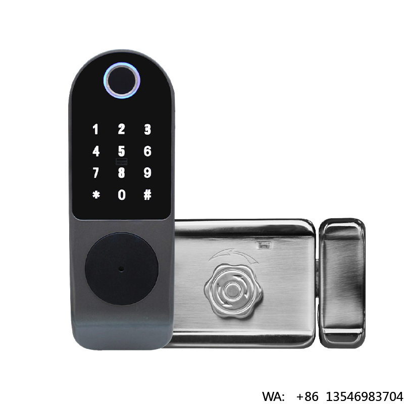 Digital Door Lock Fingerprint Handle - Serrature Intelligenti Tuya con Impronta Digitale