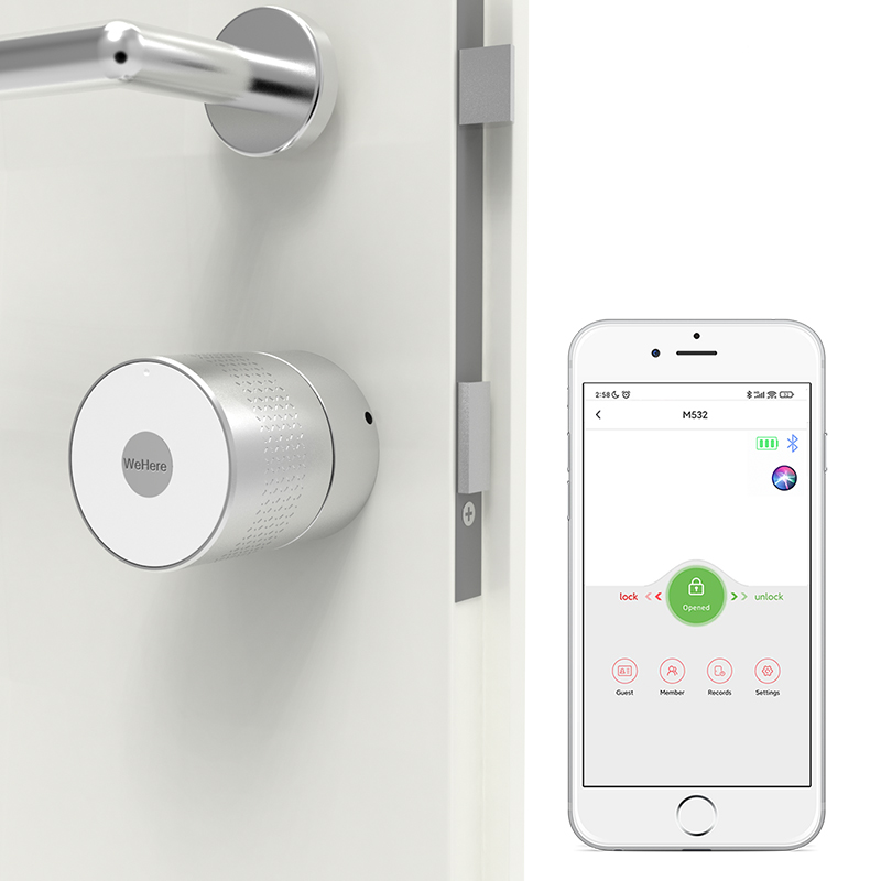 Smart Lock Zigbee Gateway - Nuovo Arrivo M532TUYA APP Serratura Intelligente
