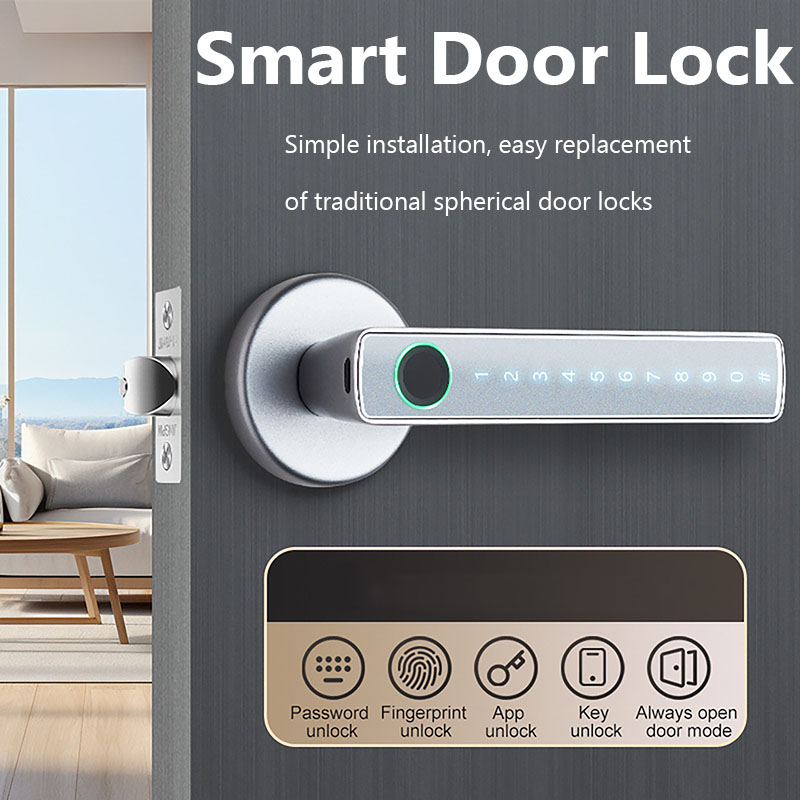 Smart Lock Zigbee Gateway - Tuya Smart Fingerprint Lock Livello finanziario