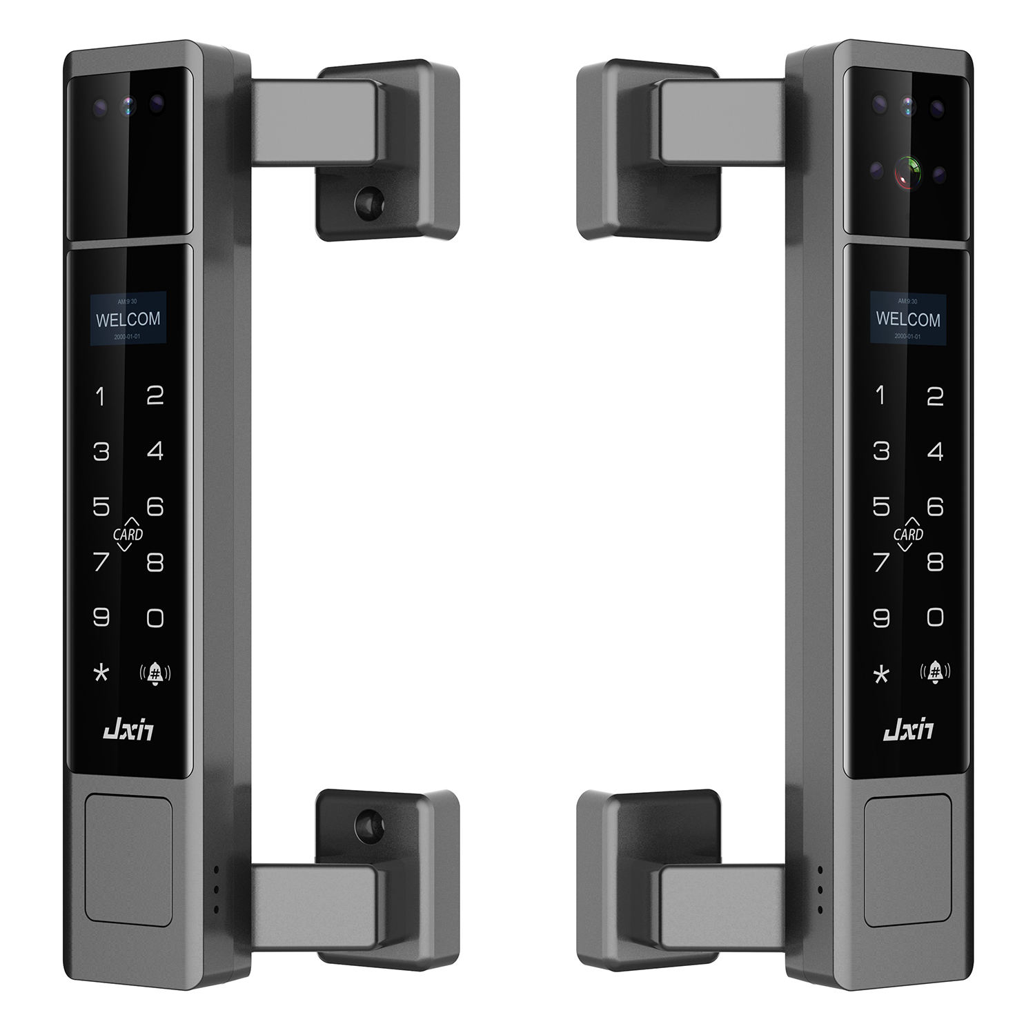 Face Recognition Door Lock - Serratura Intelligente per Esterni IP68 Impermeabile