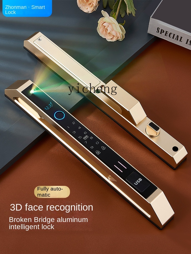 Face Recognition Door Lock - Serratura Intelligente CC29 Automatica in Alluminio