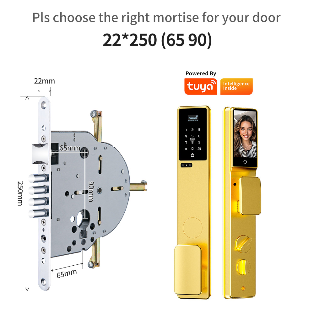 Serratura Intelligente Tuya co - Smart Door Lock 3D Face Palm Vein recensione e prezzo