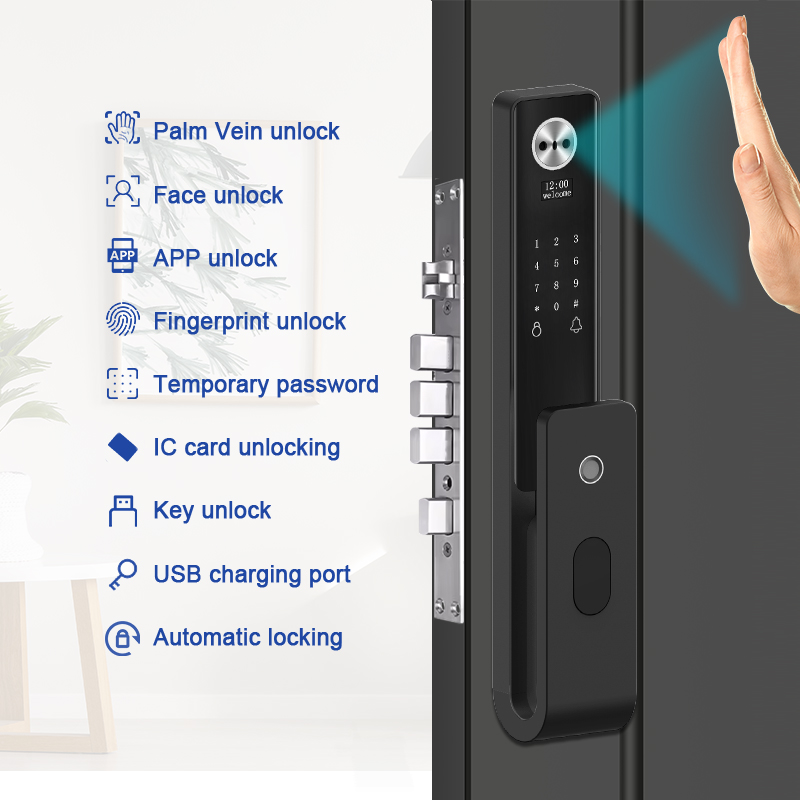 Cerradura Inteligente Tuya Wif - Face Recognition Door Lock recensione e prezzo