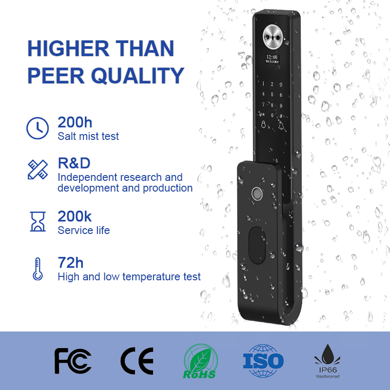 Cerradura Inteligente Tuya Wif - Face Recognition Door Lock recensione e prezzo