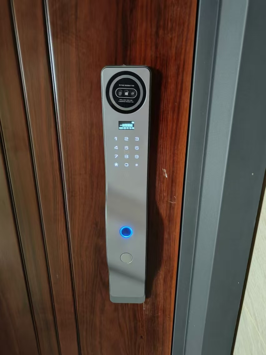 Serratura Intelligente Wifi Tu - Smart Door Lock 3D Face Palm Vein recensione e prezzo