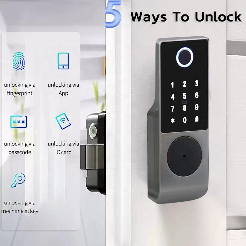 Serratura Intelligente Enrique - Smart Rim Lock Wifi Fingerprint recensione e prezzo