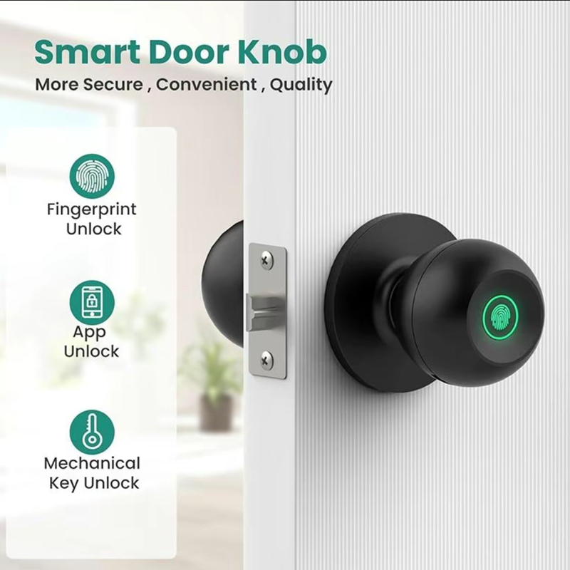 Bluetooth Tuya APP Control Sma - Digital Door Lock Fingerprint Handle recensione e prezzo
