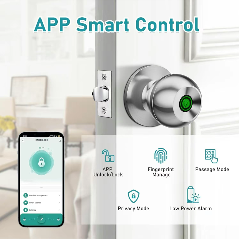 Bluetooth Tuya APP Control Sma - Digital Door Lock Fingerprint Handle recensione e prezzo