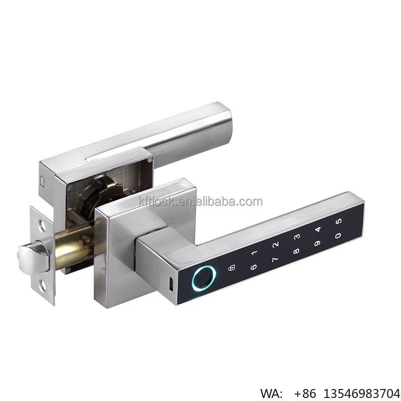 Serratura Digitale Elettrica c - Digital Door Lock Fingerprint Handle recensione e prezzo