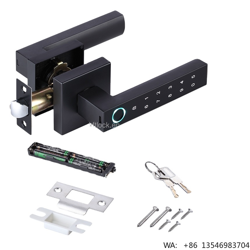 Serratura Digitale Elettrica c - Digital Door Lock Fingerprint Handle recensione e prezzo