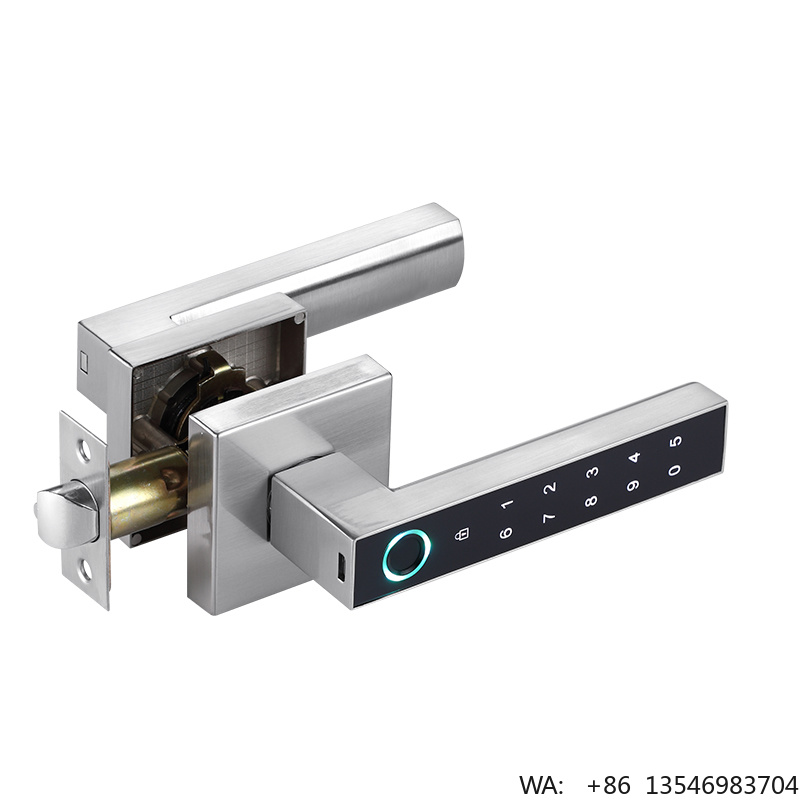 Serratura Digitale Elettrica c - Digital Door Lock Fingerprint Handle recensione e prezzo