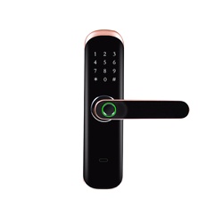 Maniglia per porta digitale bi - Digital Door Lock Fingerprint Handle recensione e prezzo