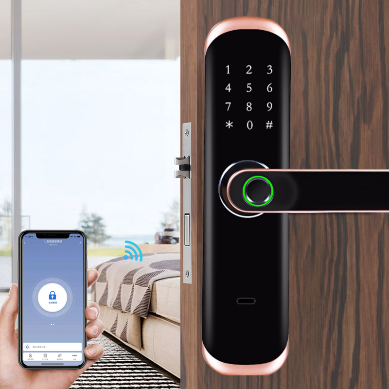 Maniglia per porta digitale bi - Digital Door Lock Fingerprint Handle recensione e prezzo