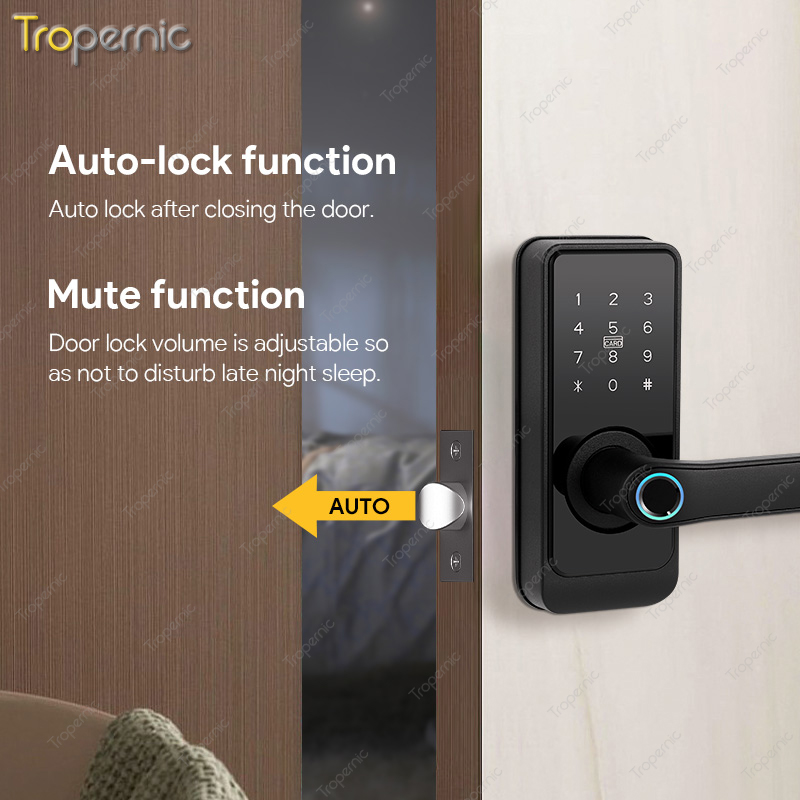Smart Deadbolt Tuya SmartLife  - Smart Lock Deadbolt Keypad Bluetooth recensione e prezzo