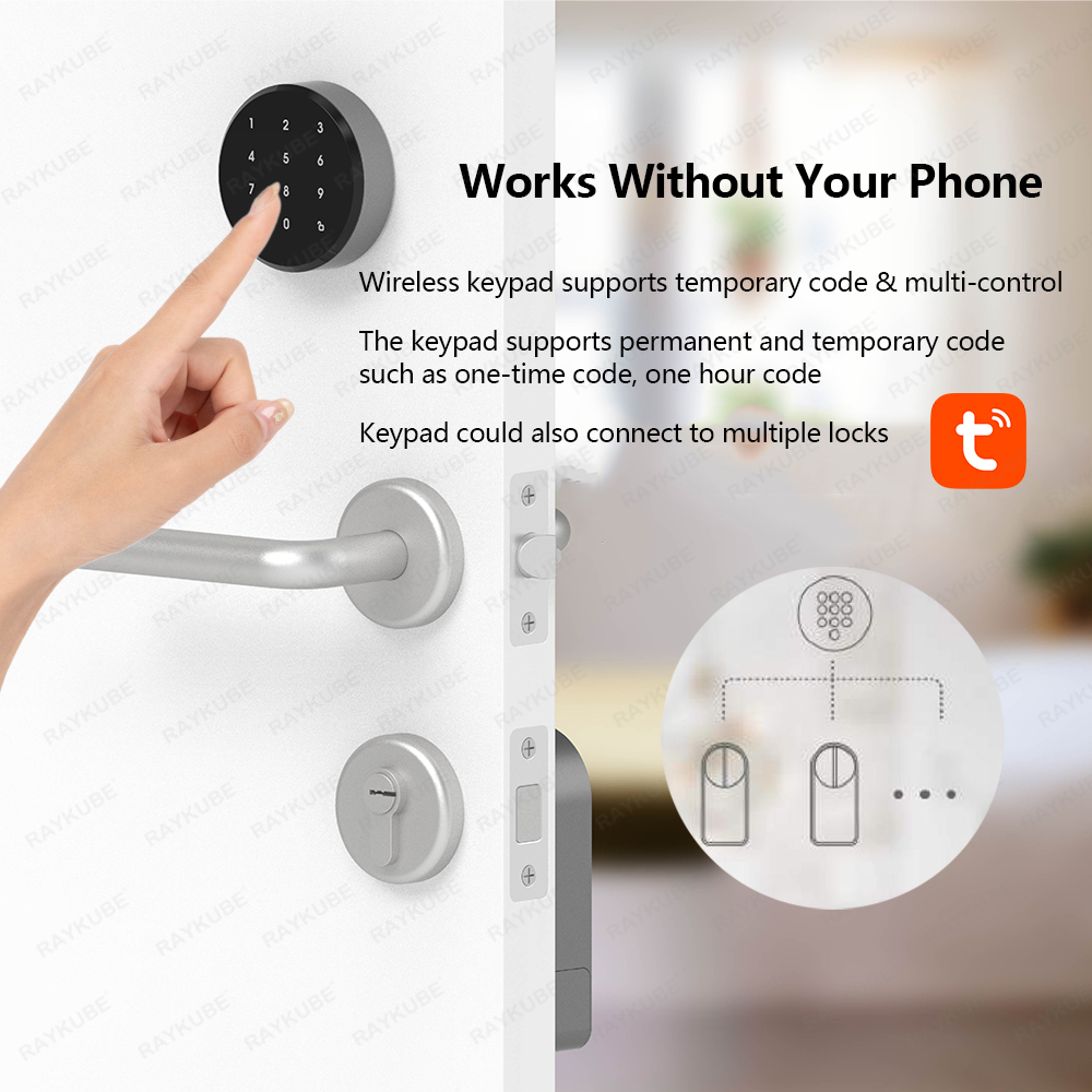 RAYKUBE A1 Pro Tuya BEL Set se - Smart Door Lock Tuya App recensione e prezzo