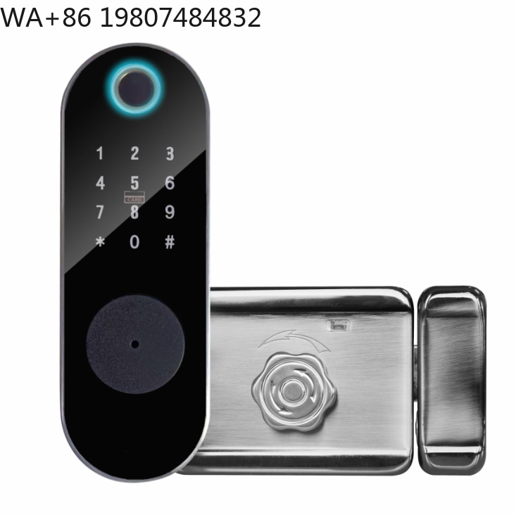 Serratura Intelligente WiFi Po - Smart Rim Lock Wifi Fingerprint recensione e prezzo