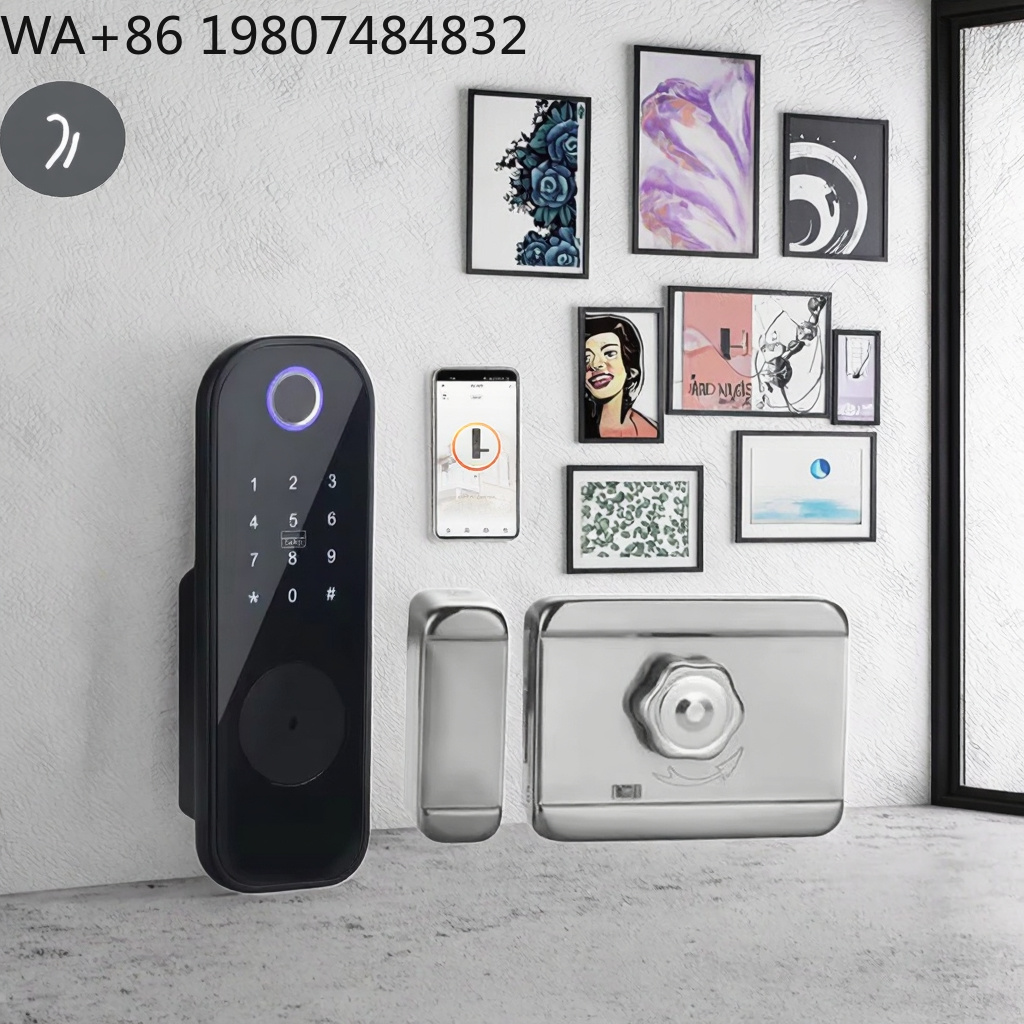 Serratura Intelligente WiFi Po - Smart Rim Lock Wifi Fingerprint recensione e prezzo