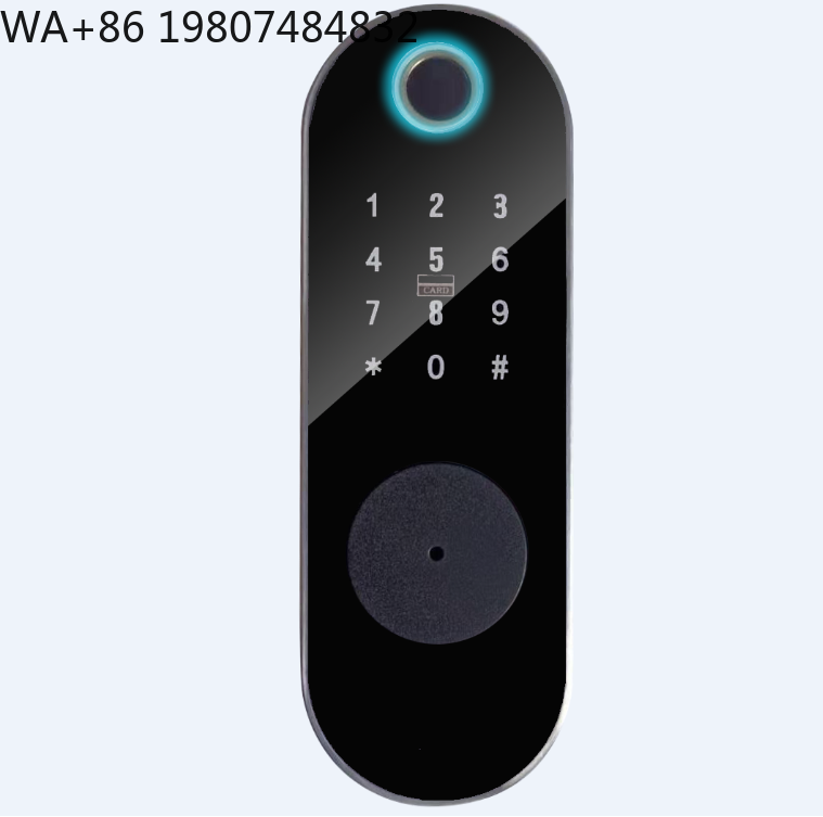 Serratura Intelligente WiFi Po - Smart Rim Lock Wifi Fingerprint recensione e prezzo