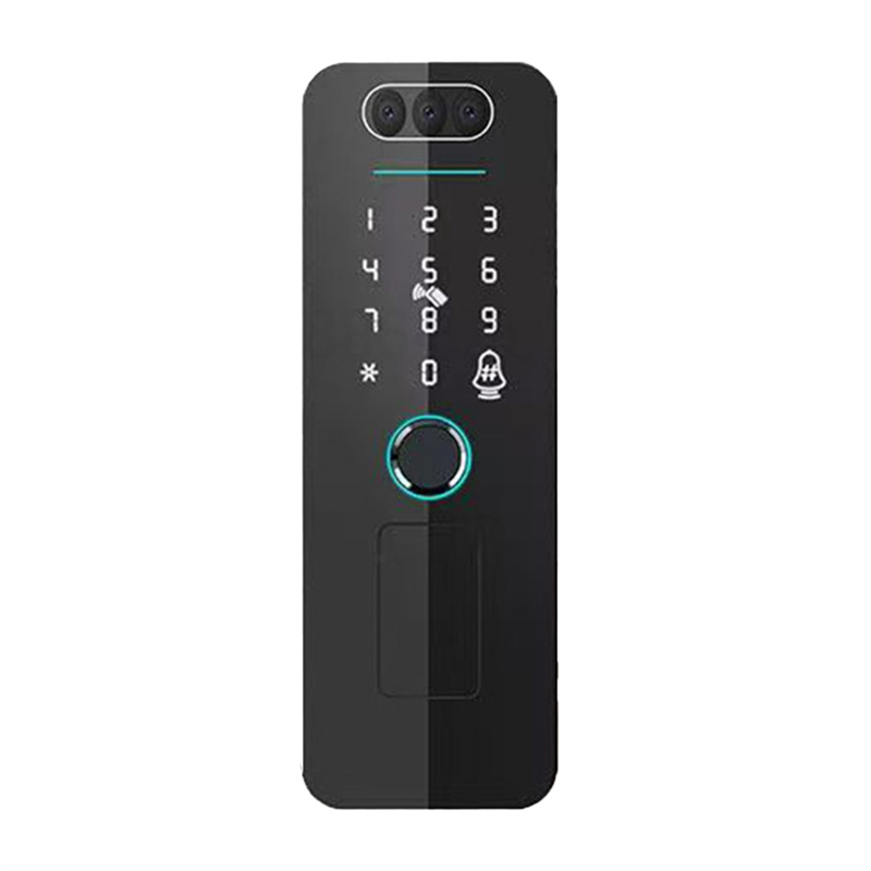 A92Z Tuya Impronta digitale RF - Face Recognition Door Lock recensione e prezzo
