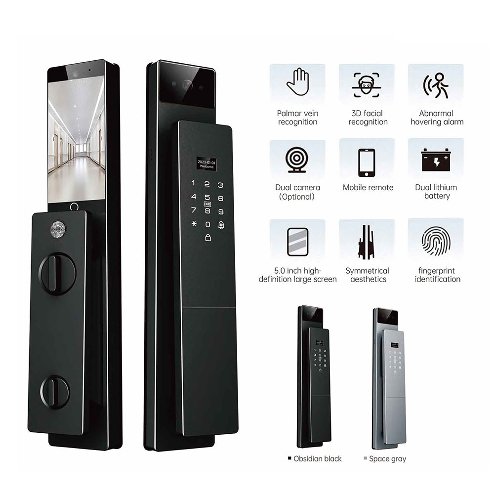Serratura Intelligente Biometr - Smart Door Lock 3D Face Palm Vein recensione e prezzo