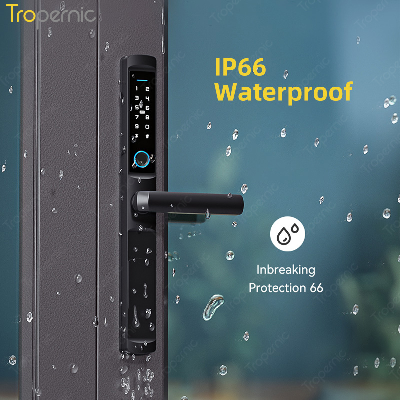 Serrature per porte biometrich - Smart Lock Zigbee Gateway recensione e prezzo