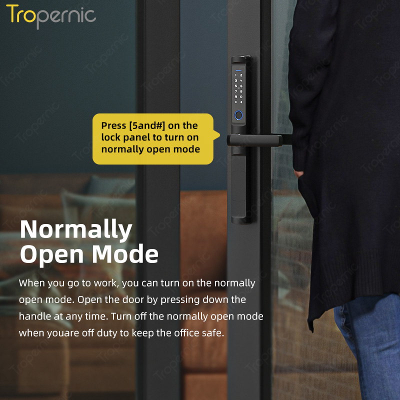 Serrature per porte biometrich - Smart Lock Zigbee Gateway recensione e prezzo