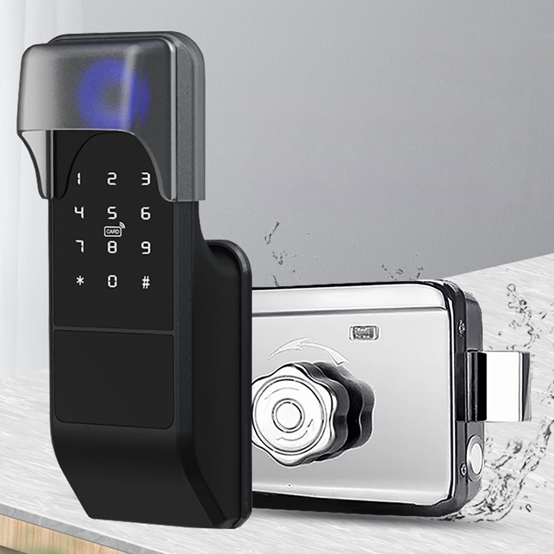 Impermeabile Tuya Wifi Smart D - Smart Rim Lock Wifi Fingerprint recensione e prezzo