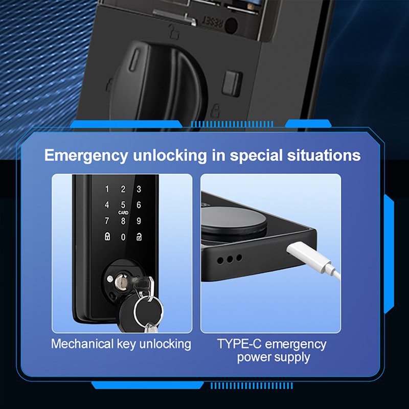 Serratura a catenaccio intelli - Smart Door Lock Tuya App recensione e prezzo