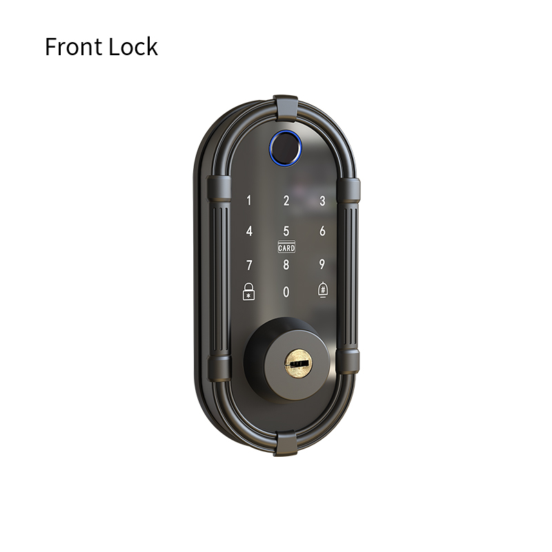 Serratura Intelligente per Int - Smart Door Lock Fingerprint Wifi recensione e prezzo
