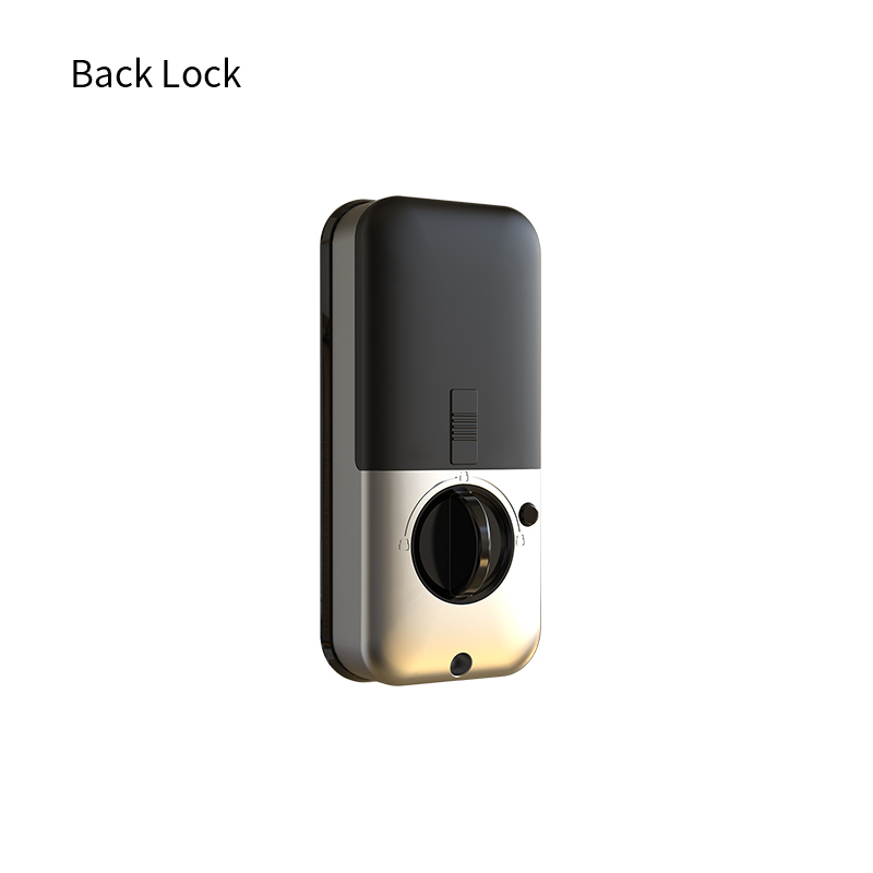 Serratura Intelligente per Int - Smart Door Lock Fingerprint Wifi recensione e prezzo