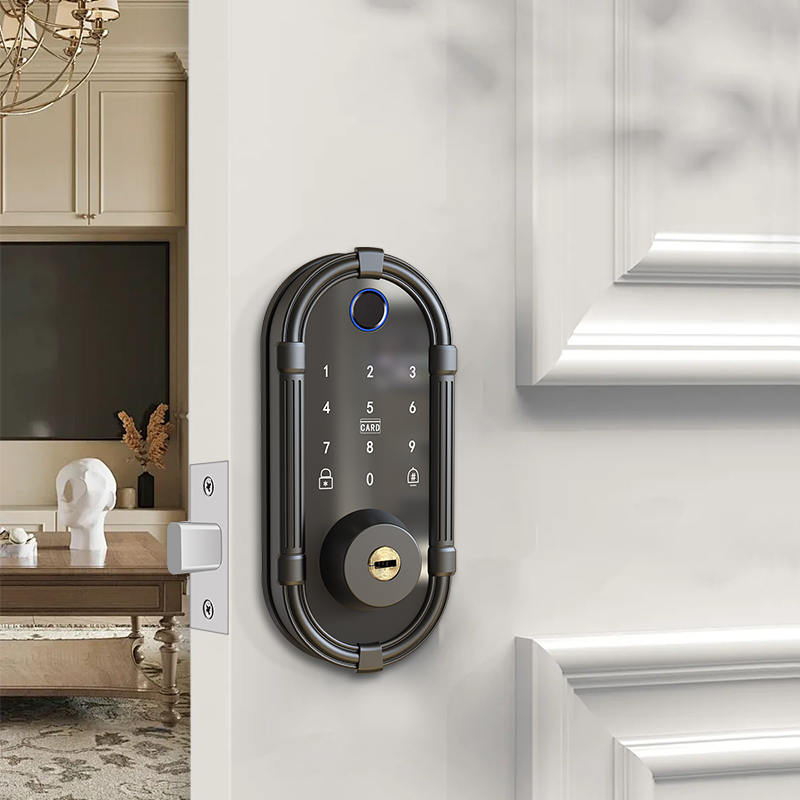 Serratura Intelligente per Int - Smart Door Lock Fingerprint Wifi recensione e prezzo
