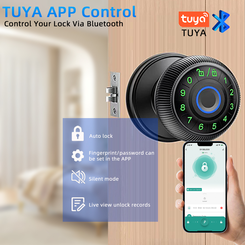 Serratura Intelligente CDOK Q6 - Smart Lock Zigbee Gateway recensione e prezzo