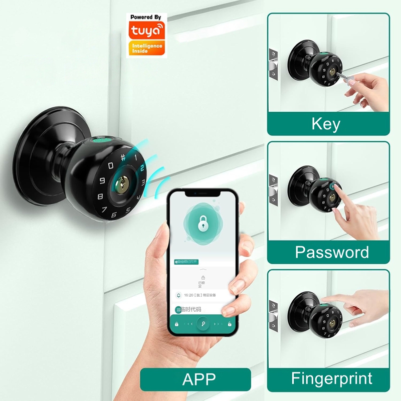 Tuya Fingerprint Smart Deadbol - Smart Lock Deadbolt Keypad Bluetooth recensione e prezzo