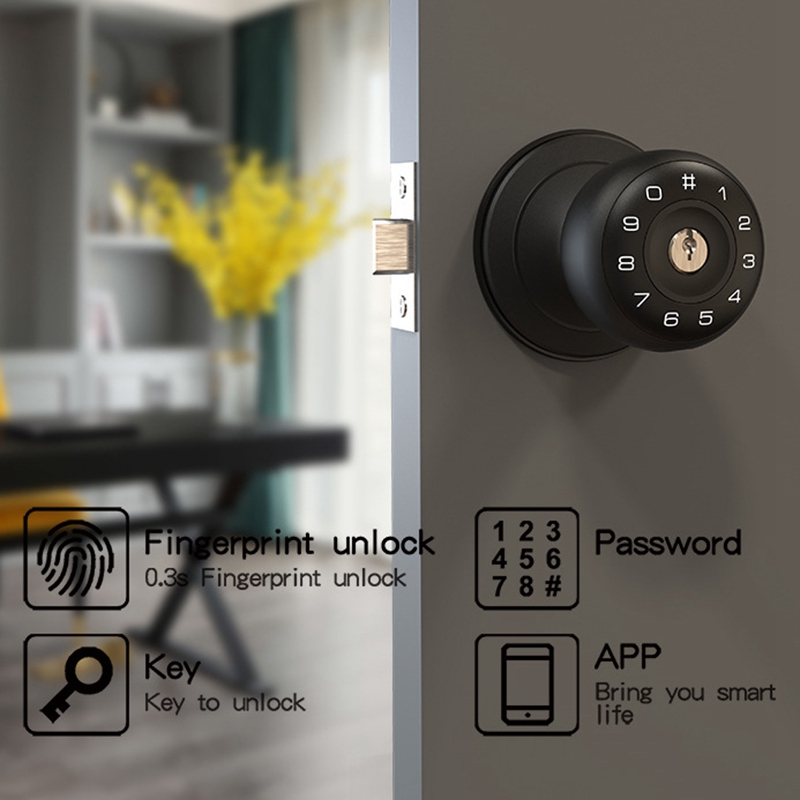 Tuya Fingerprint Smart Deadbol - Smart Lock Deadbolt Keypad Bluetooth recensione e prezzo