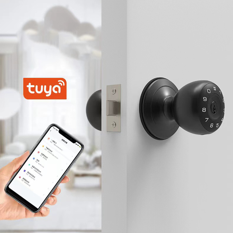 Tuya Fingerprint Smart Deadbol - Smart Lock Deadbolt Keypad Bluetooth recensione e prezzo