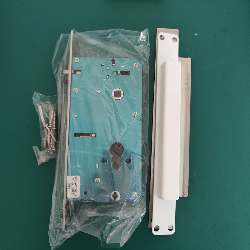 Smart Lock WiFi remoto, ID imp - Smart Lock Zigbee Gateway recensione e prezzo