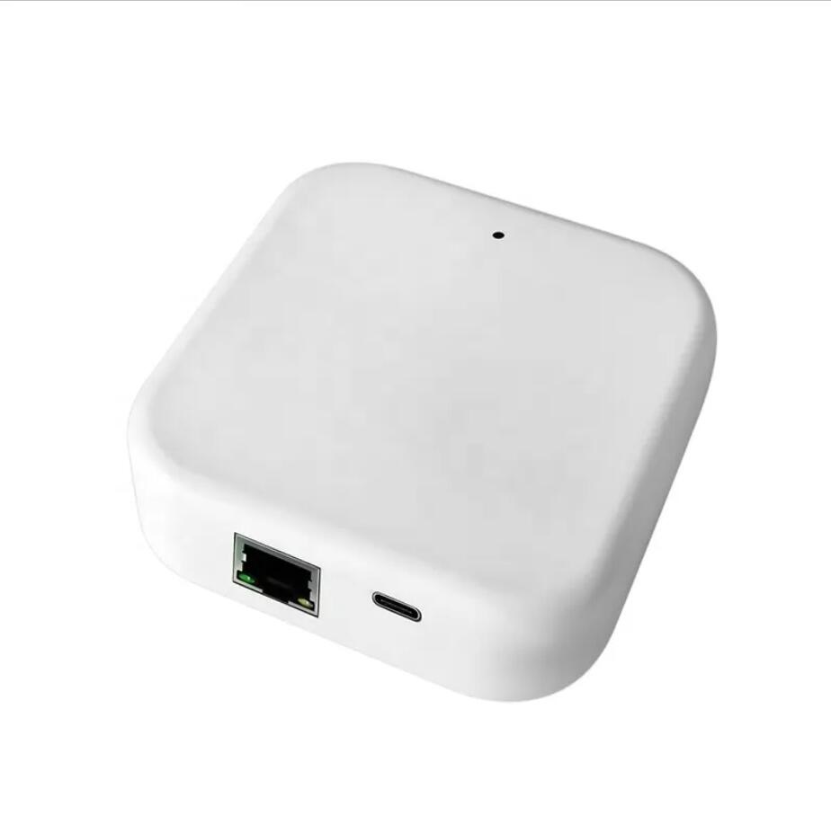 TTLOCK G2 G3 Gateway Wi-Fi per - Smart Lock For Sliding Door recensione e prezzo