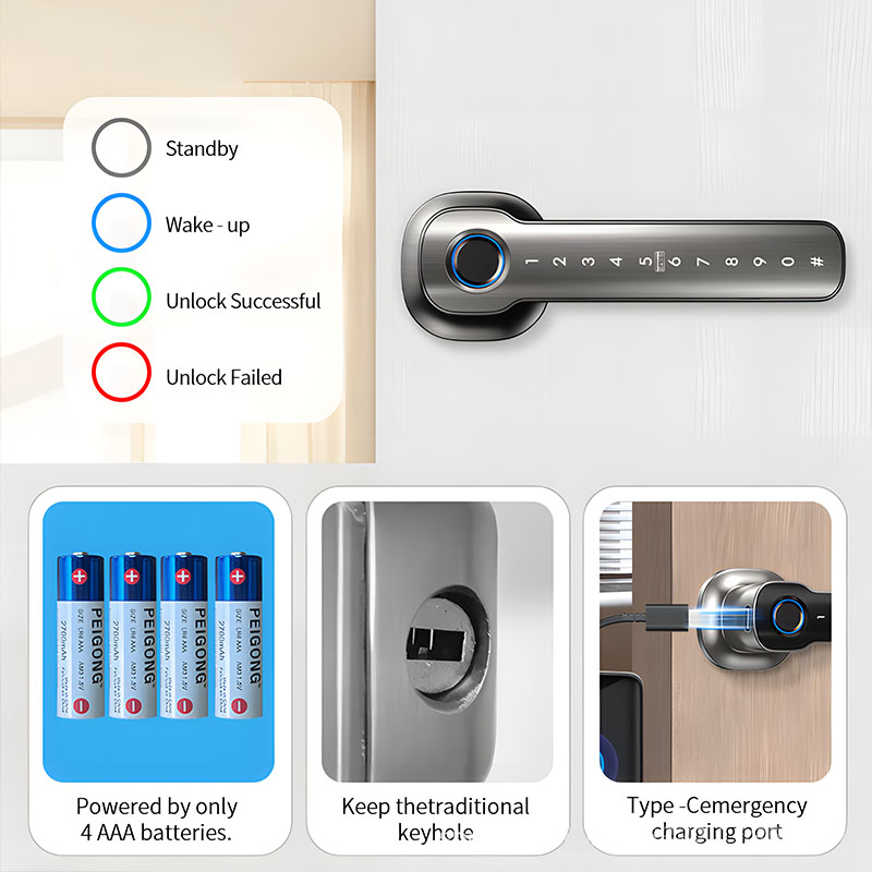 Dispositivi di Sicurezza Domes - Digital Door Lock Fingerprint Handle recensione e prezzo