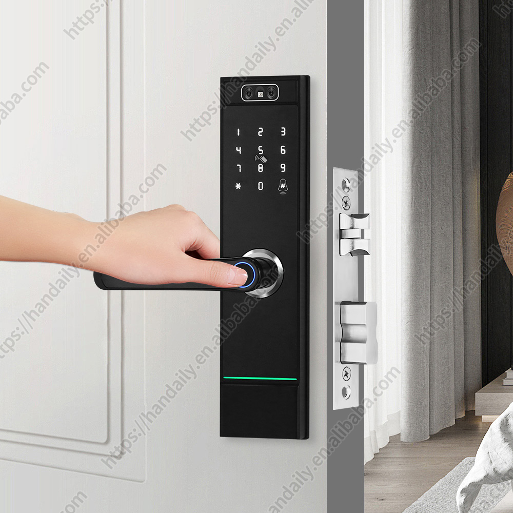Serratura digitale intelligent - Digital Door Lock Fingerprint Handle recensione e prezzo