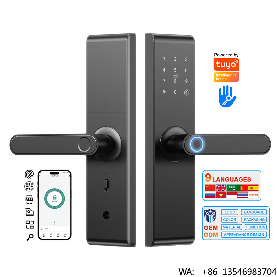 Serratura Elettronica Intellig - Digital Door Lock Fingerprint Handle recensione e prezzo