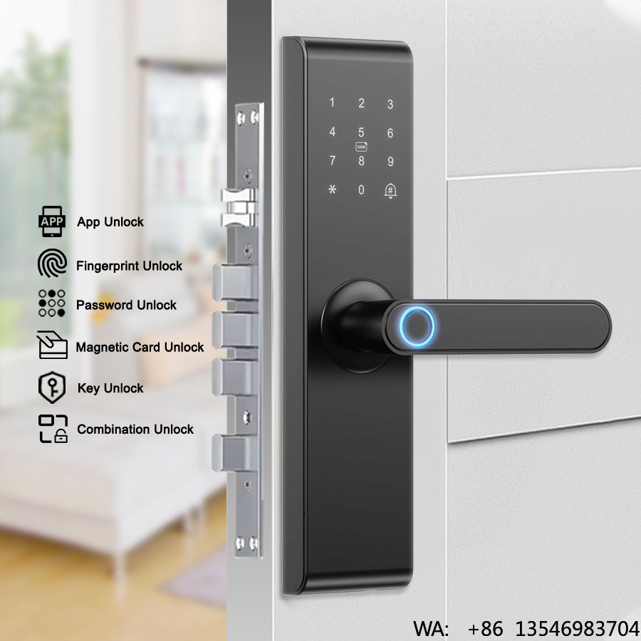 Serratura Elettronica Intellig - Digital Door Lock Fingerprint Handle recensione e prezzo