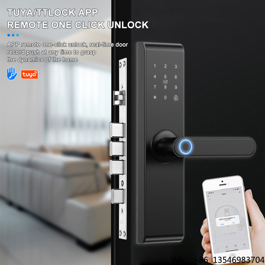 Serratura Elettronica Intellig - Digital Door Lock Fingerprint Handle recensione e prezzo
