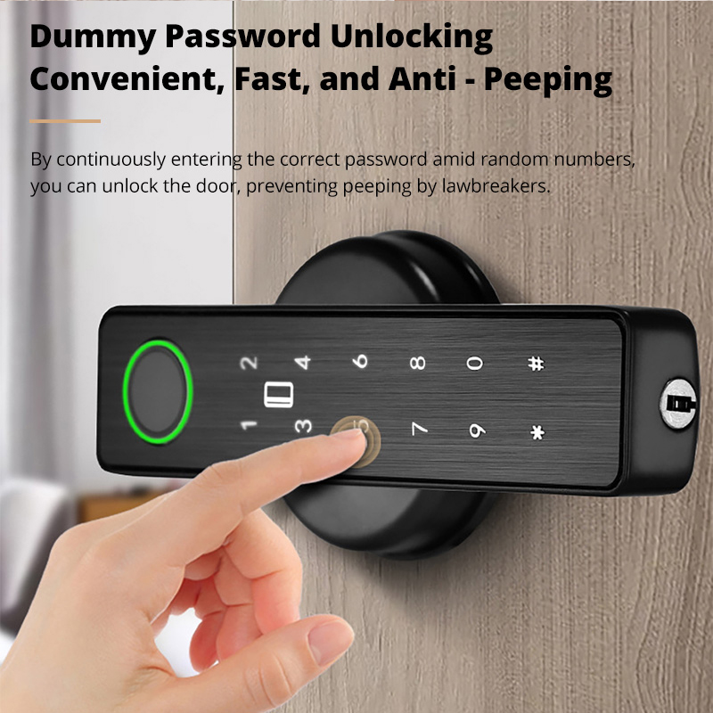 Tuya Smart Door Lock Serrature - Smart Door Lock Tuya App recensione e prezzo