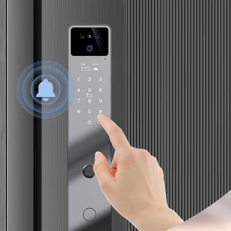 EGFirtor Tuya APP Riconoscimen - Smart Lock For Sliding Door recensione e prezzo