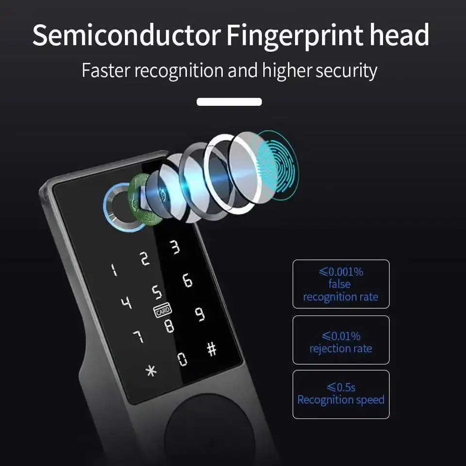Serratura Elettronica Intellig - Smart Rim Lock Wifi Fingerprint recensione e prezzo